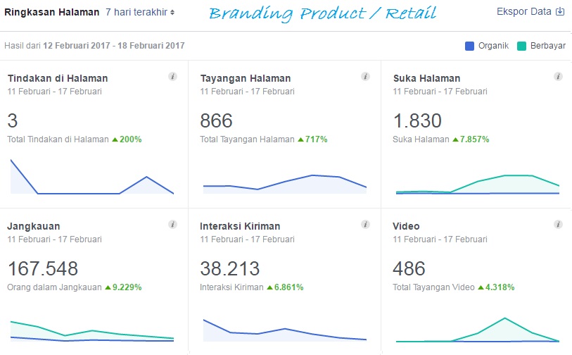 fb insight retail type page