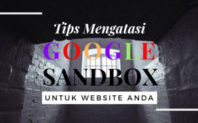 8 Cara Mengatasi Google Sandbox Untuk Website Bisnis Anda